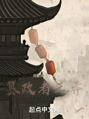 篡政者王莽