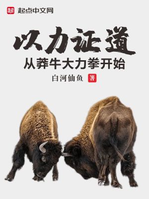以力证道:从莽牛大力拳开始